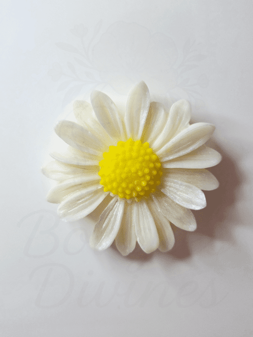 Aimant - Marguerite